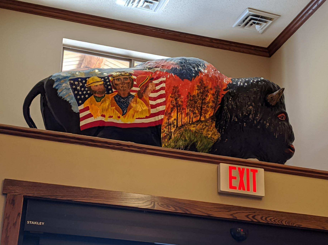 Comfort Inn & Suites主图