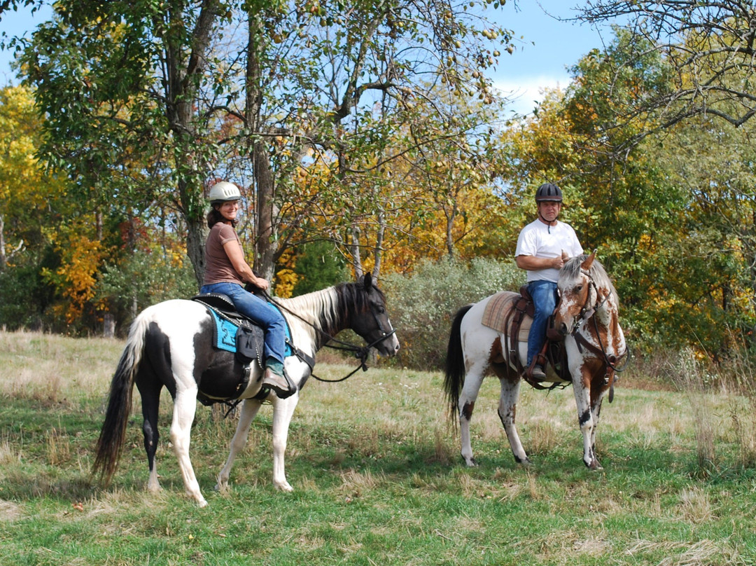 Bedford County Horseplay. LLC景点图片
