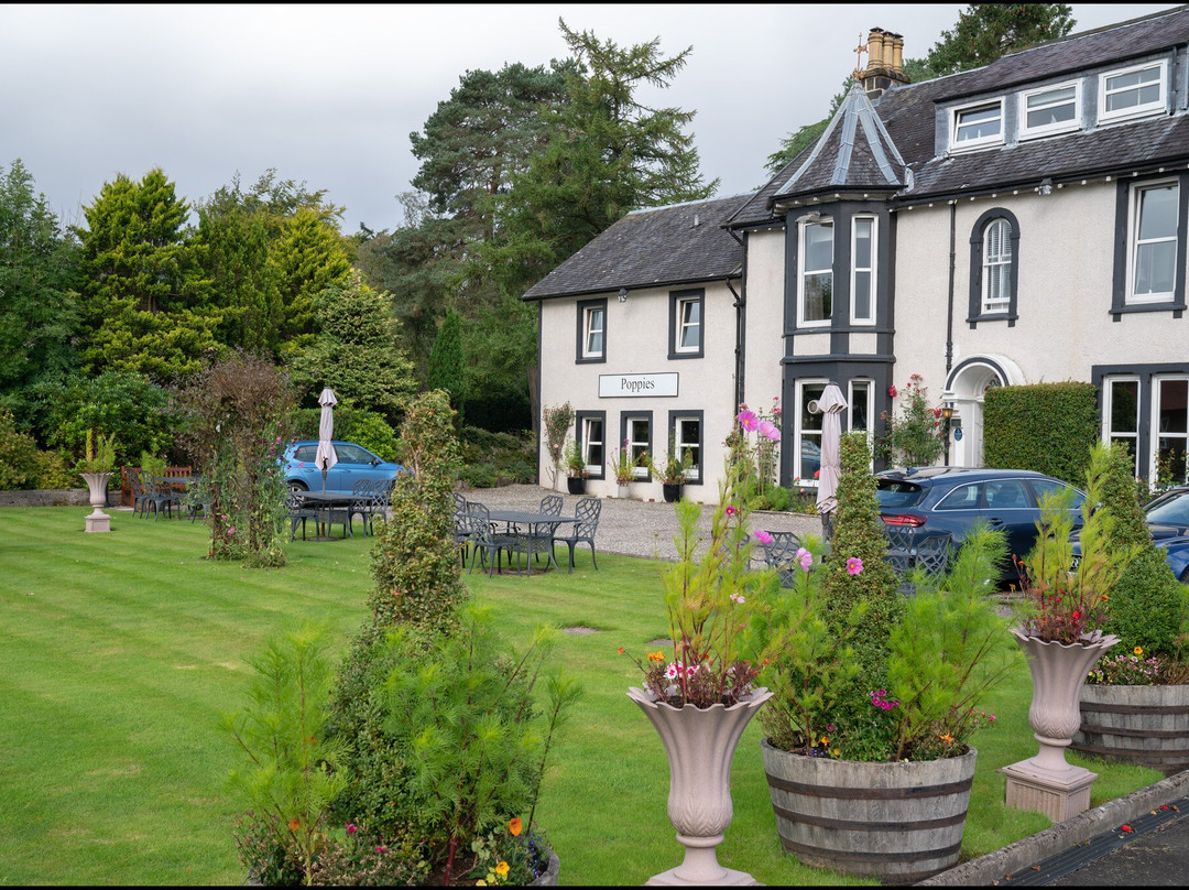 Poppies Hotel & Restaurant主图