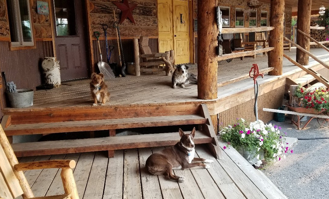 Sugar Loaf Lodge & Cabins