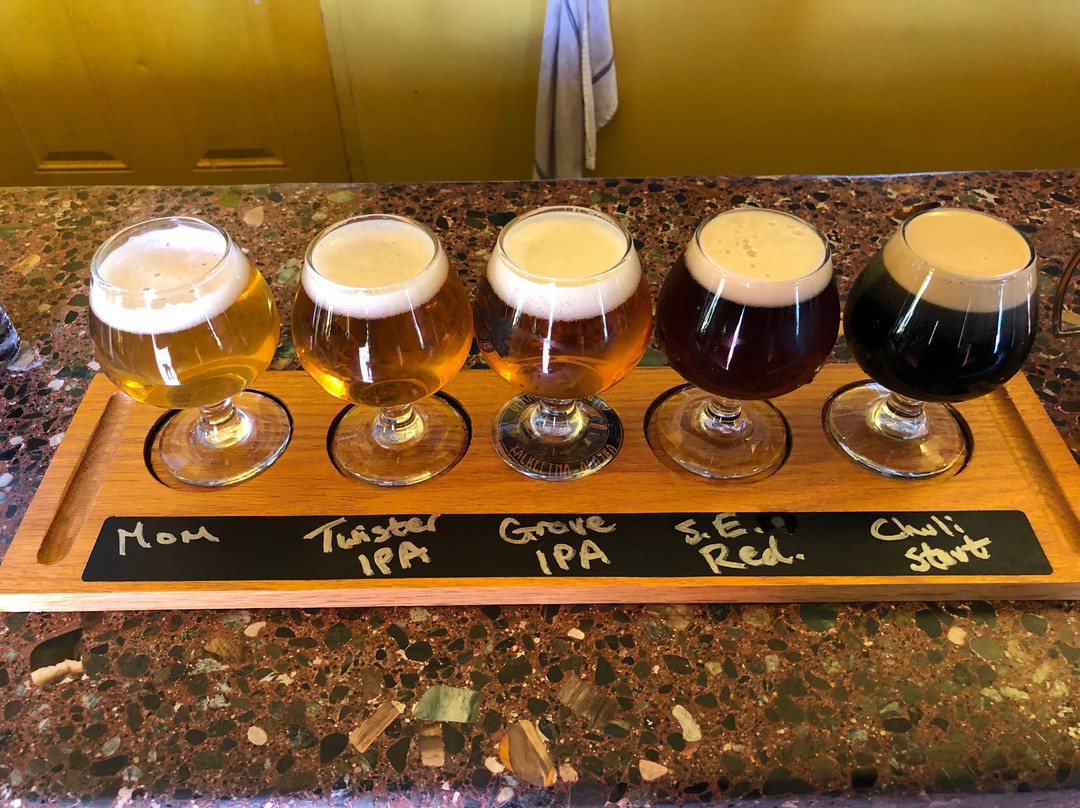 Denali Brewing Company & Tasting Room-塔尔基特纳必去景点