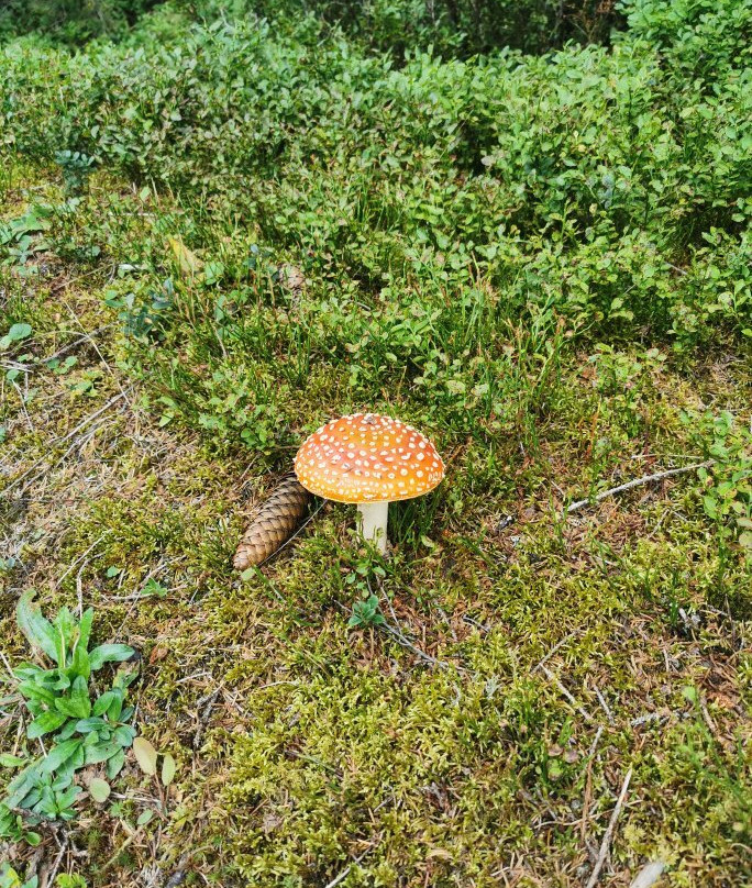 Stausee Durlassboden-加洛斯必去景点