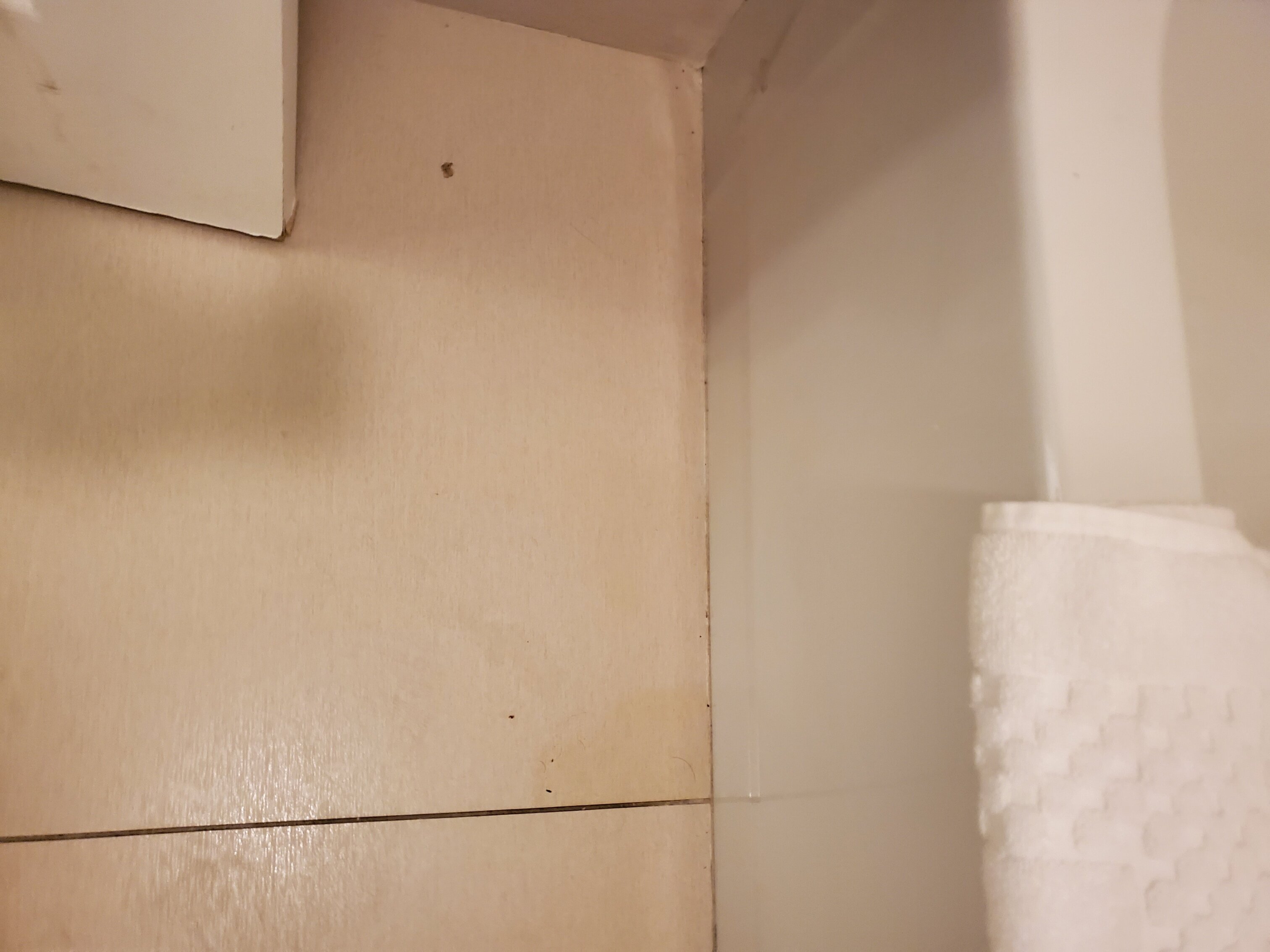 Residence Inn Monroe-浴室