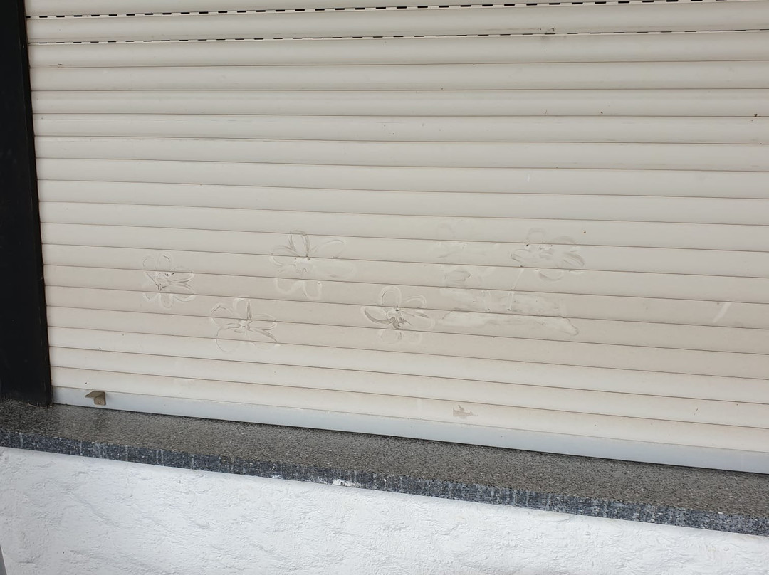 Schwarzwald-Sonnenhof主图