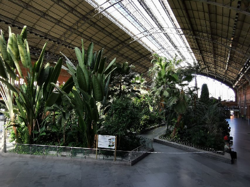 Jardin Botanico de Torretes景点图片