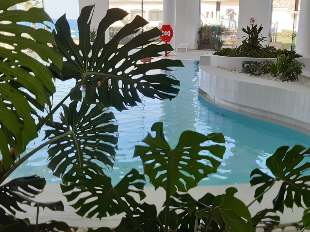 La Cigale Tabarka Hotel Thalasso Spa & Golf主图