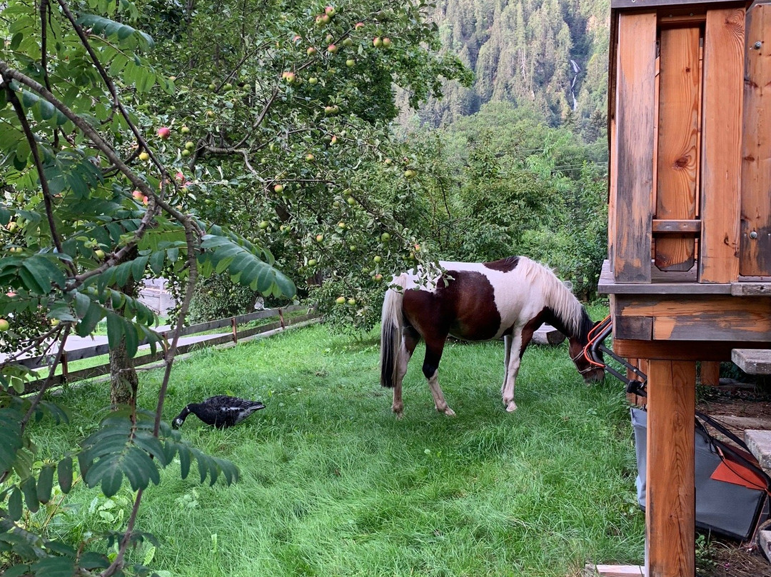 Landgasthof Steiner主图