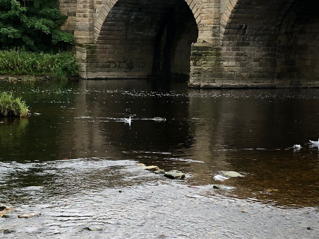 Wetherby Bridge-韦瑟比必去景点