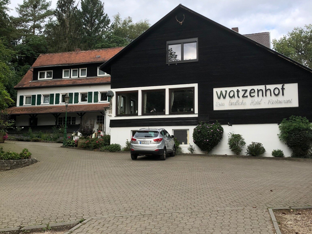Der Watzenhof主图
