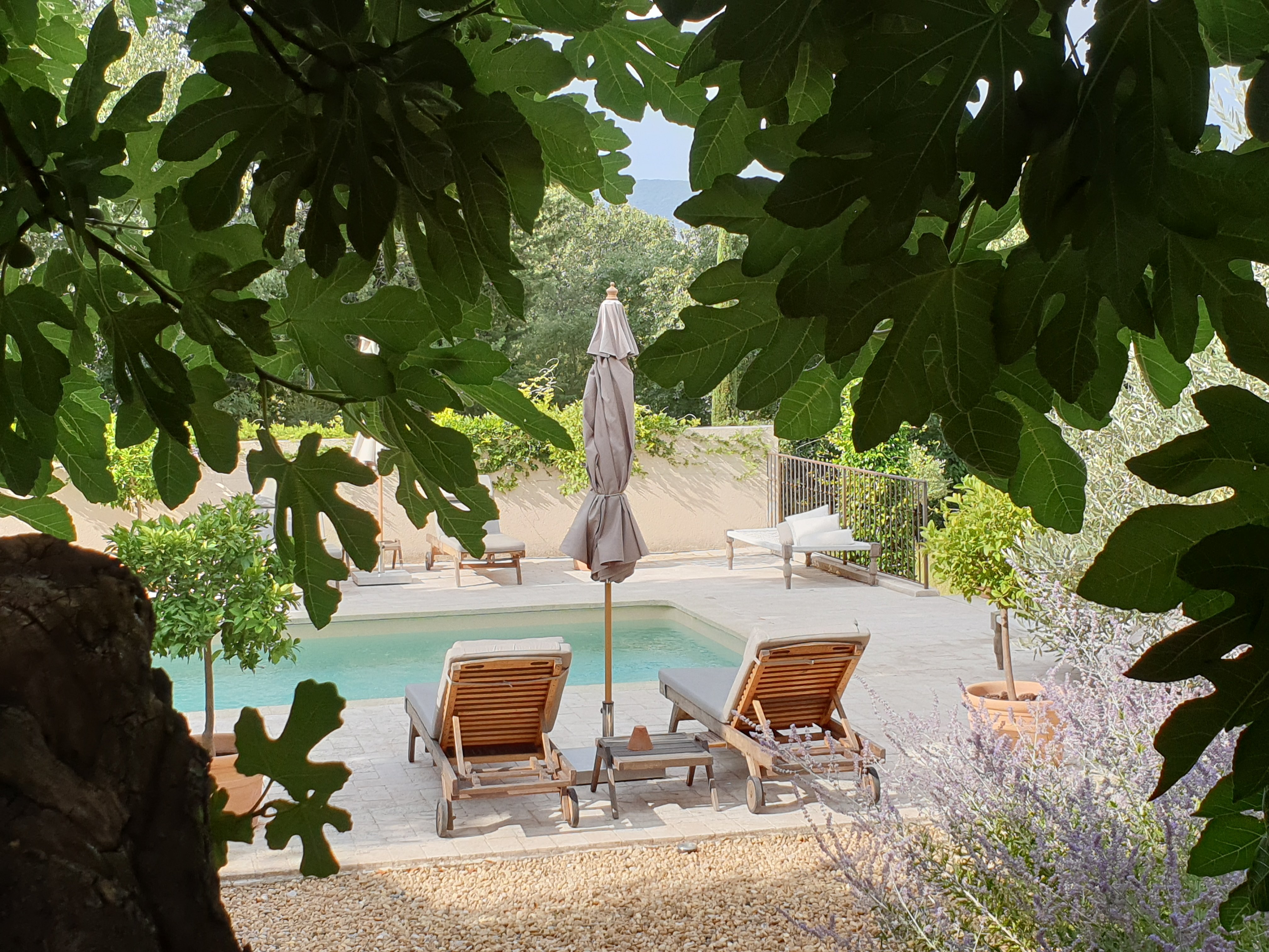 Domaine Les Martins-泳池