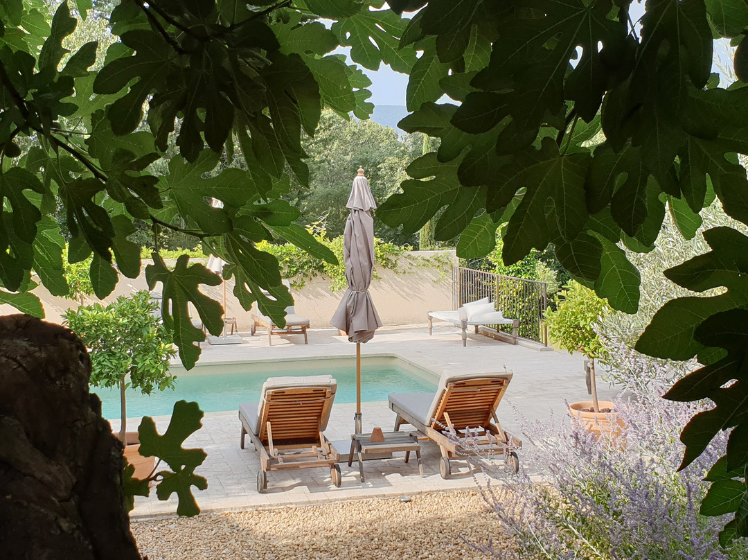 Domaine Les Martins主图