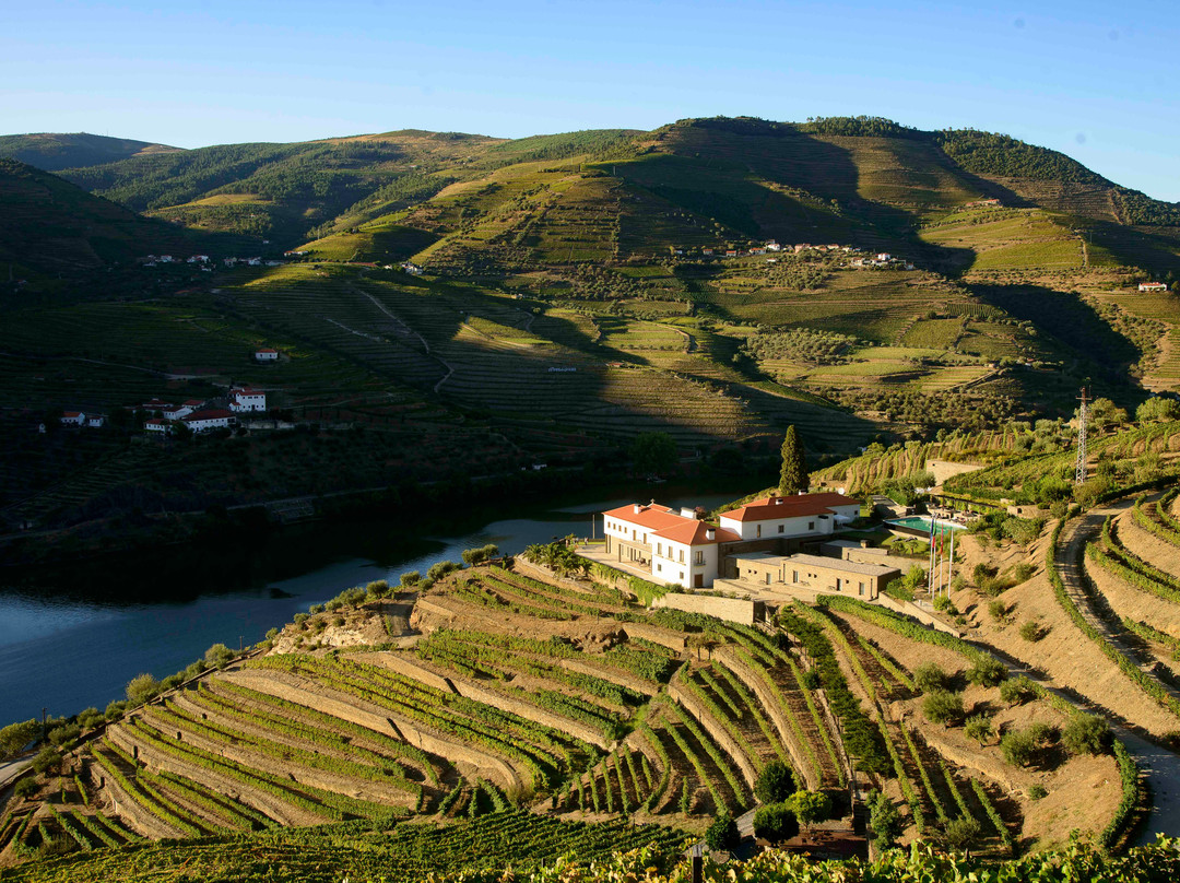 Quinta Do Pego主图