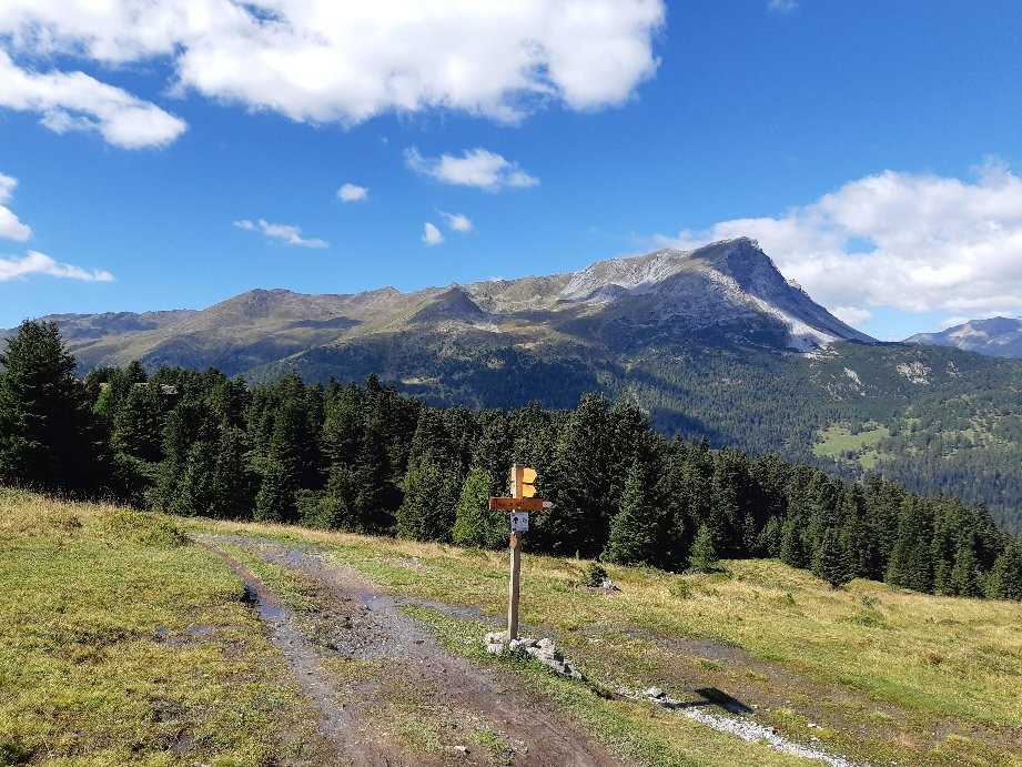 Sbarramento Passo Resia景点图片