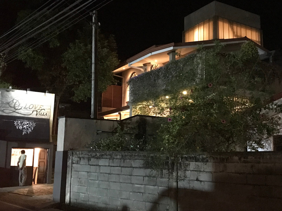 丁香别墅酒店主图