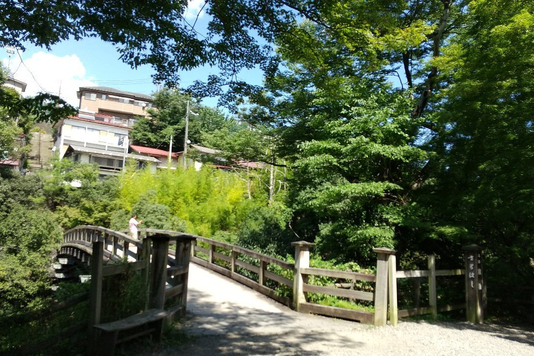Saru Bridge景点图片