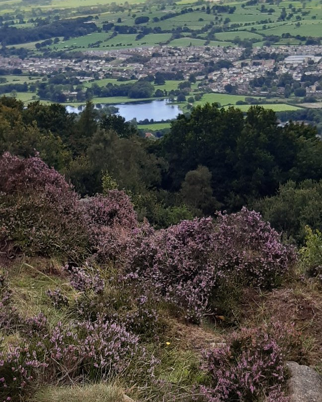 Chevin Forest Park景点图片