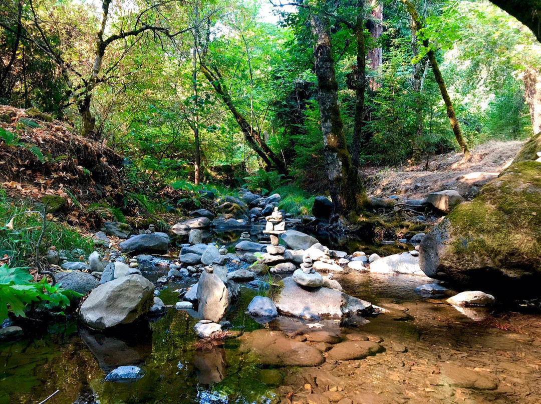 Bothe-Napa State Park景点图片