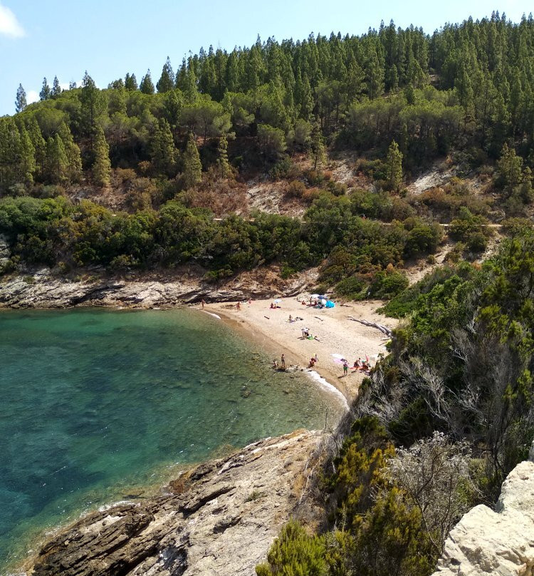 Spiaggia Di Buzzancone o Cera景点图片