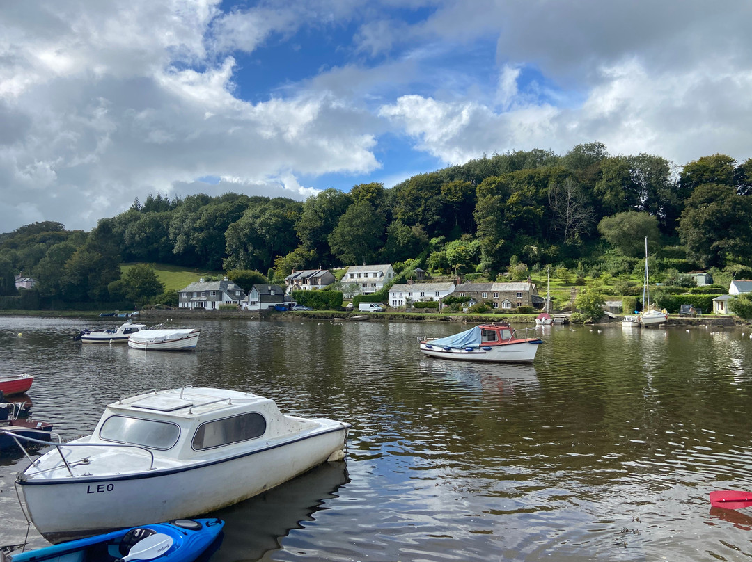 Golant酒店住宿-The Ship Inn