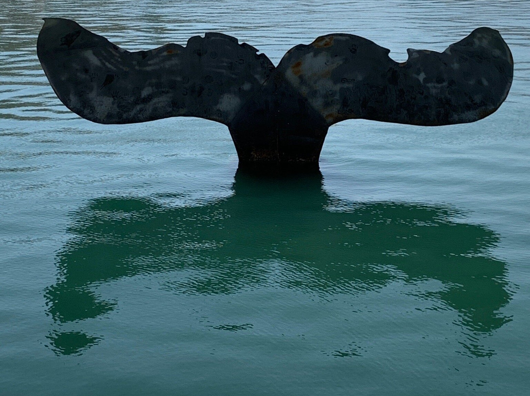 Sculpture Whale Tail景点图片