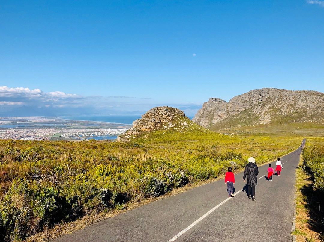 Silvermine Nature Reserve-开普敦中心区必去景点