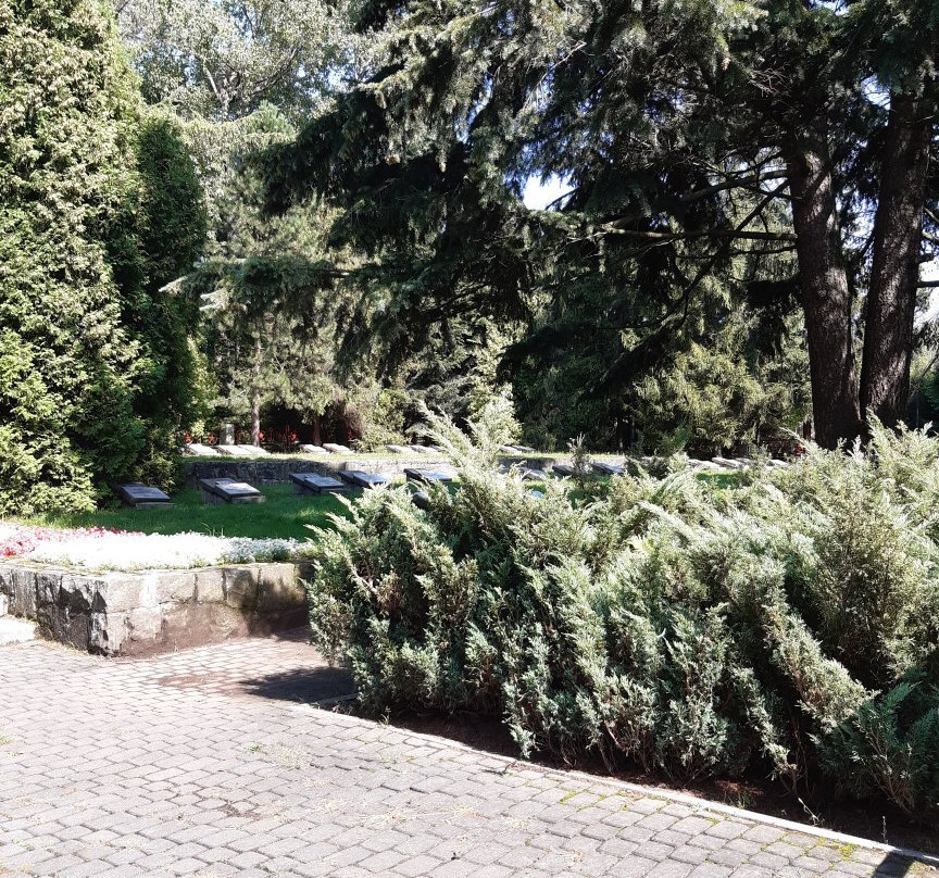 Kosciuszko Park-卡托维兹必去景点