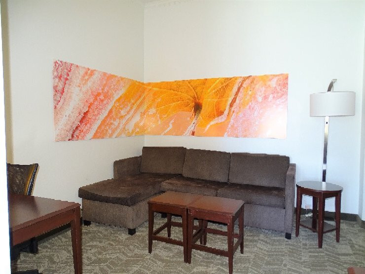 SpringHill Suites by Marriott Ardmore主图