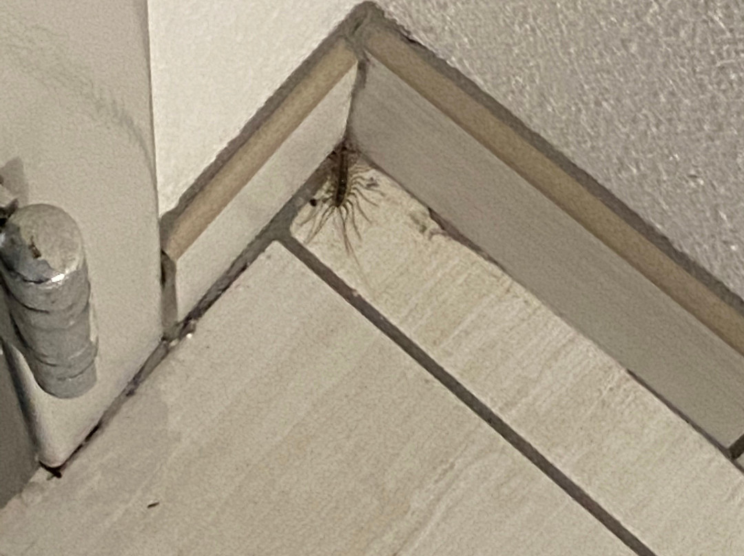 Holiday Inn Express Columbia By IHG主图