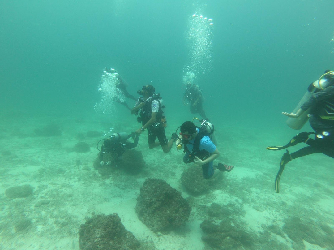 Sea Addicts-Al Hidd必去景点