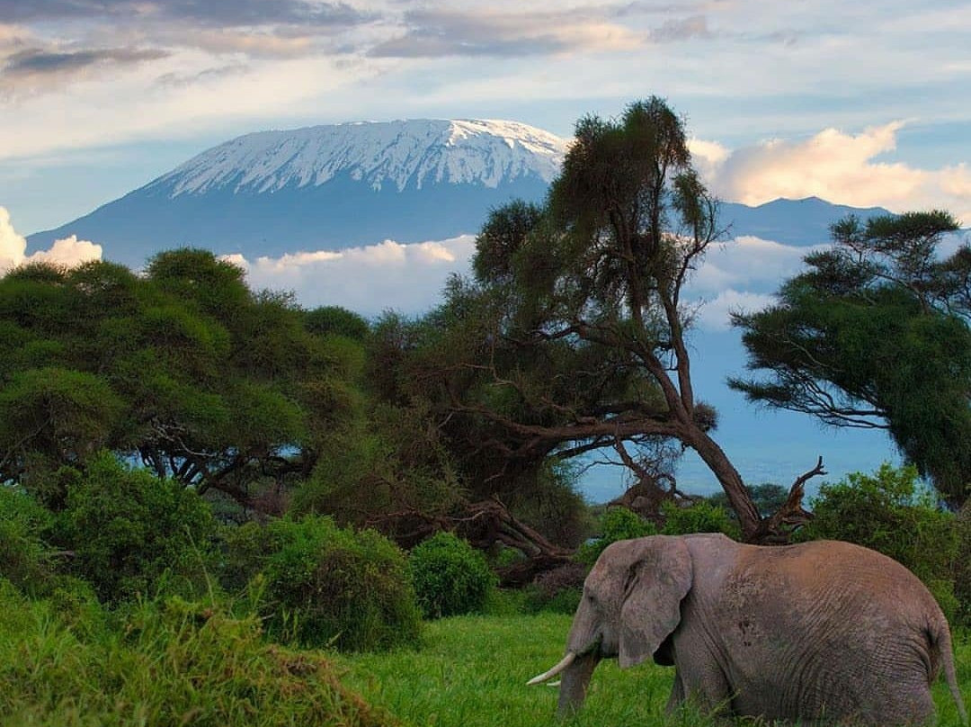 Mgalaa Expeditions-莫西必去景点