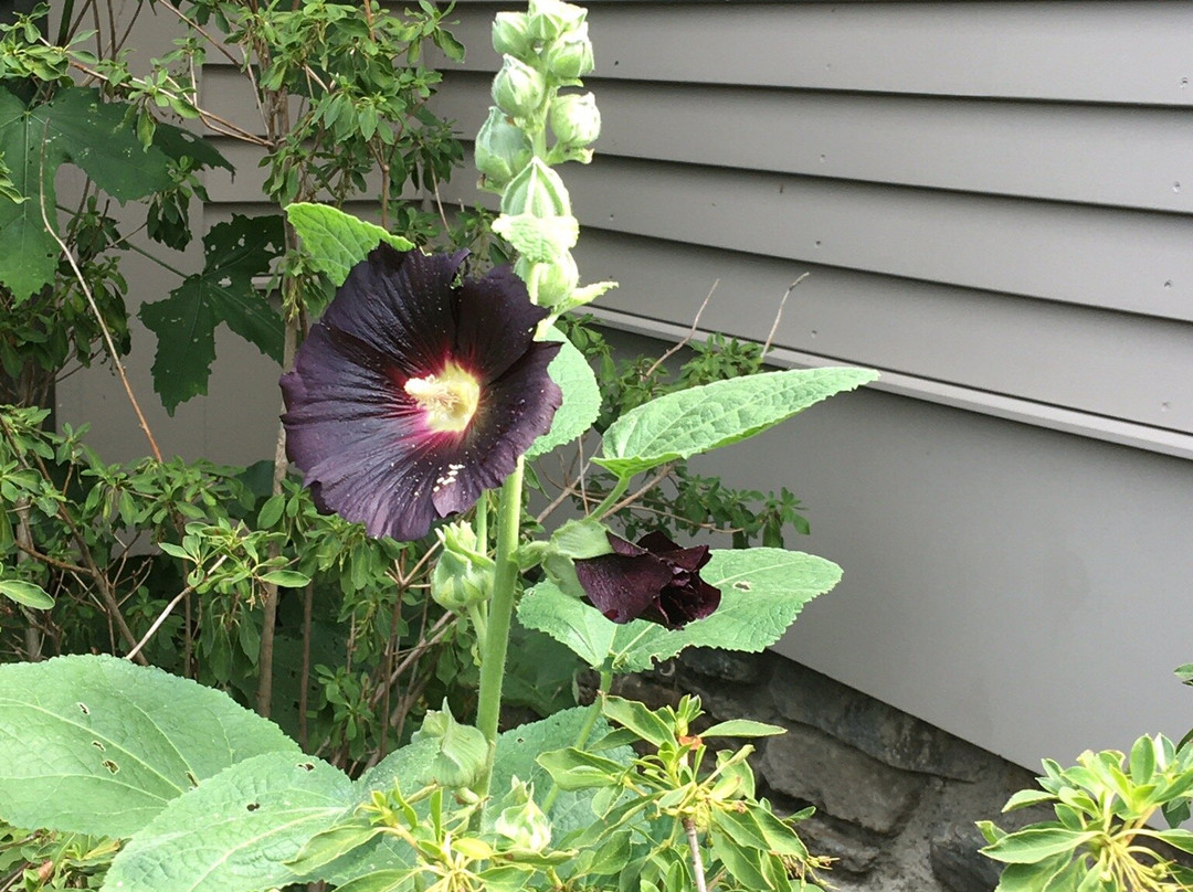 Berkshire Botanical Garden-Stockbridge必去景点