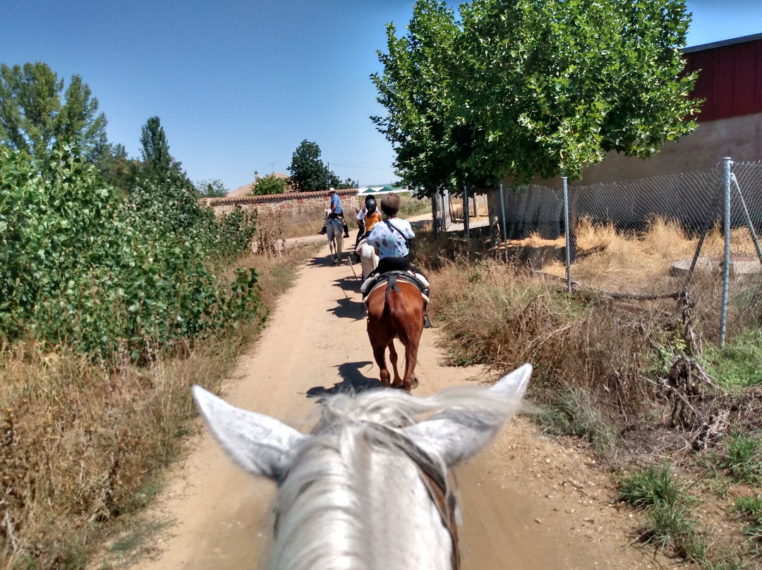 Caballos de la Ribera景点图片