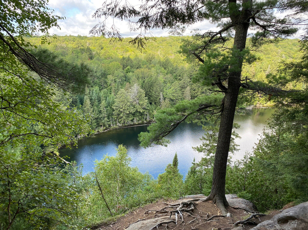 Hemlock Bluff Trail景点图片