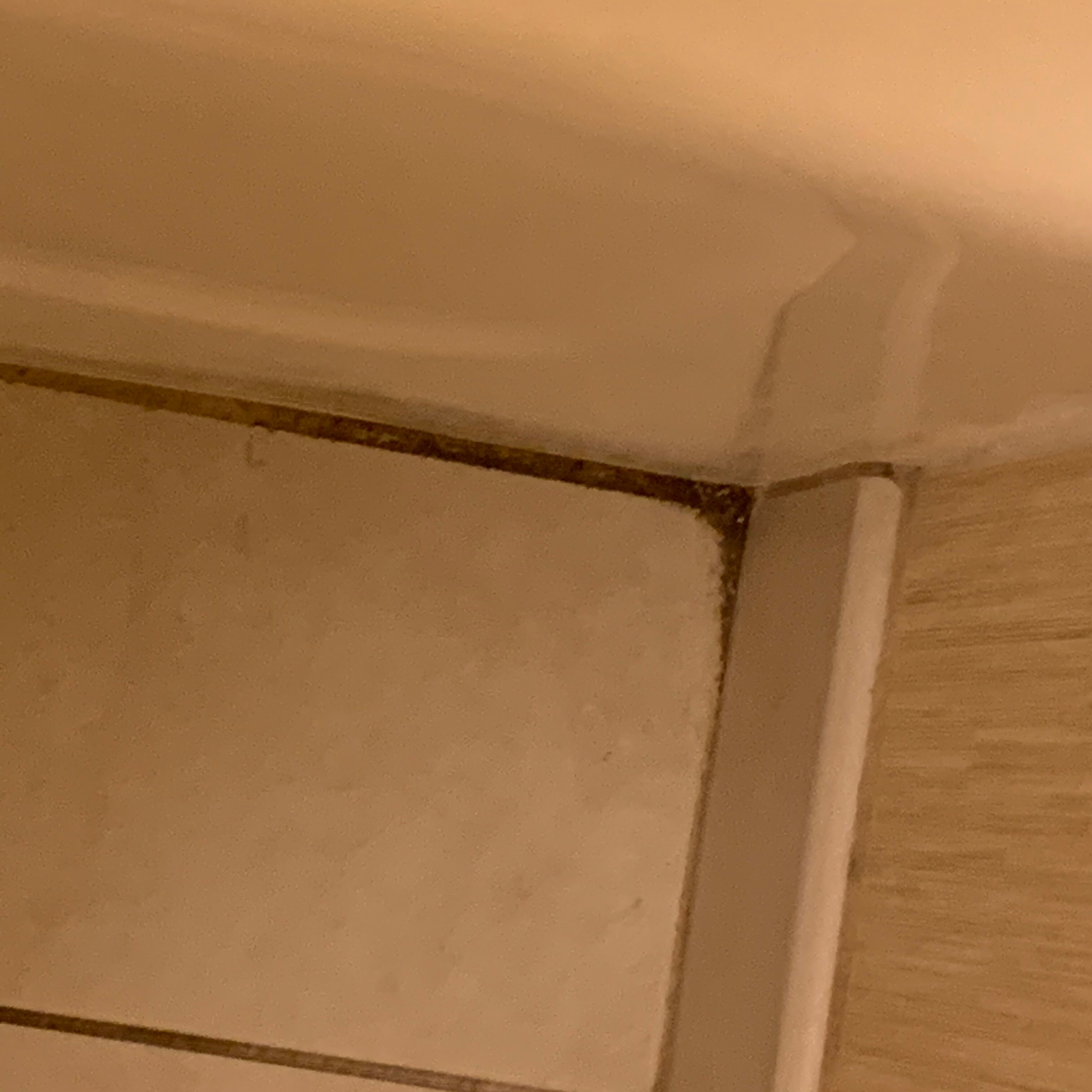 Residence Inn Youngstown Boardman/Poland-浴室