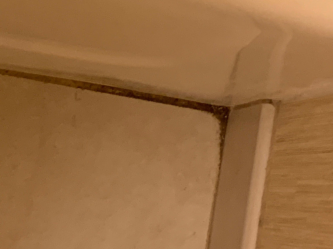 Residence Inn by Marriott Youngstown Boardman/Poland主图