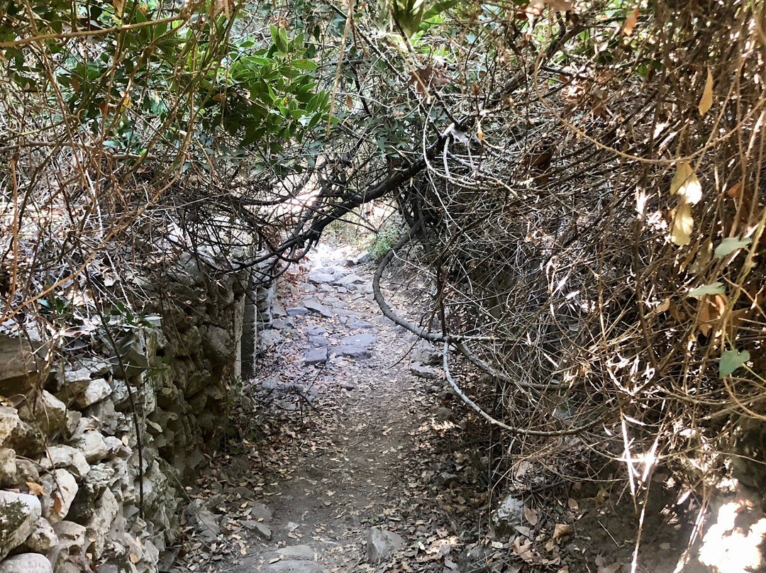 Water Mills Milopotamos-Milopotamos必去景点