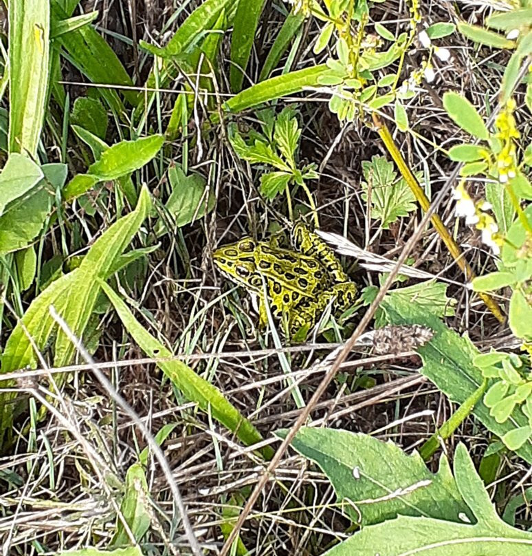 Tuttle Marsh Wildlife Area景点图片