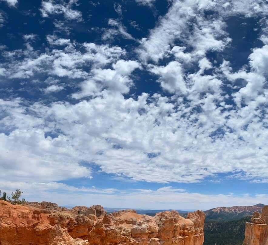 Rainbow Point-布莱斯峡谷国家公园必去景点
