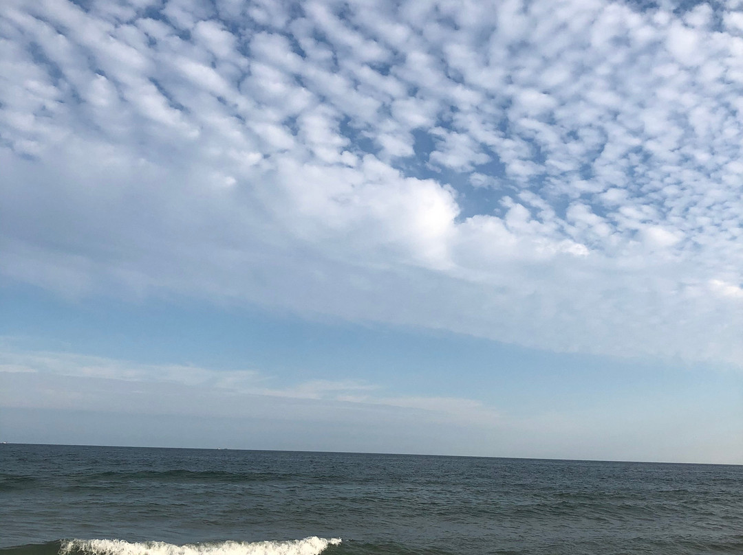 Ocean Vista Resort主图