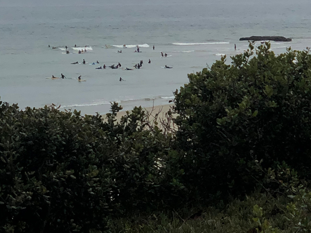 iSurf School-圣巴巴拉必去景点