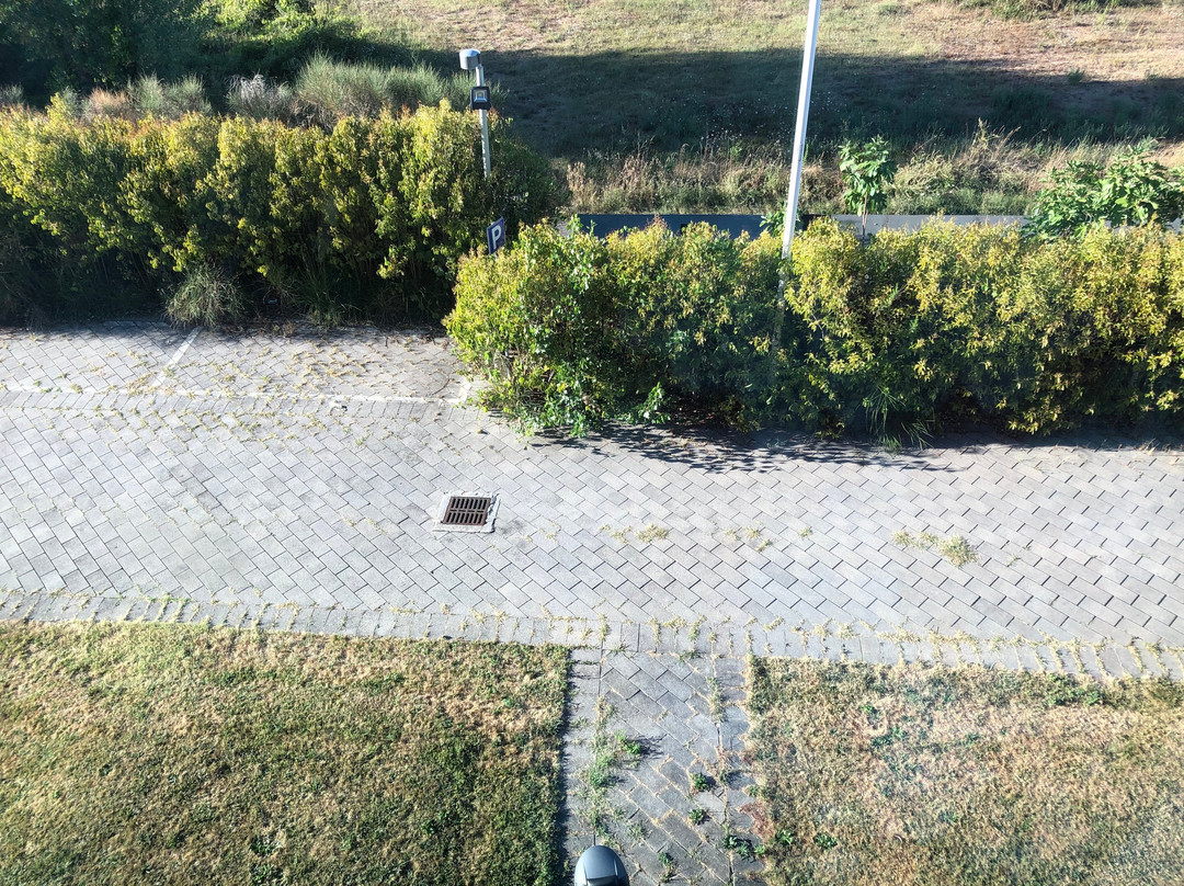 阿雷佐点公园酒店主图