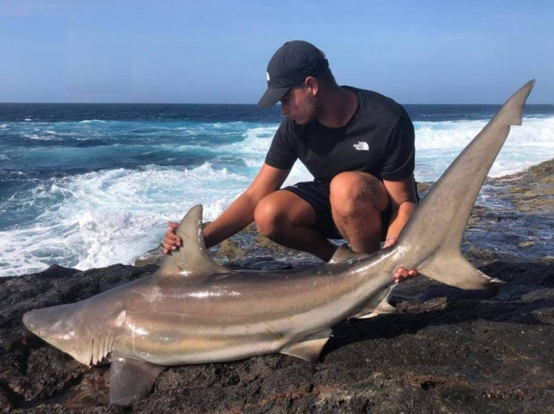 Inshore Experience - Fishing Cape Verde-圣塔玛丽亚必去景点