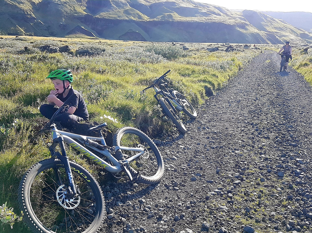 Iceland Bike Farm景点图片