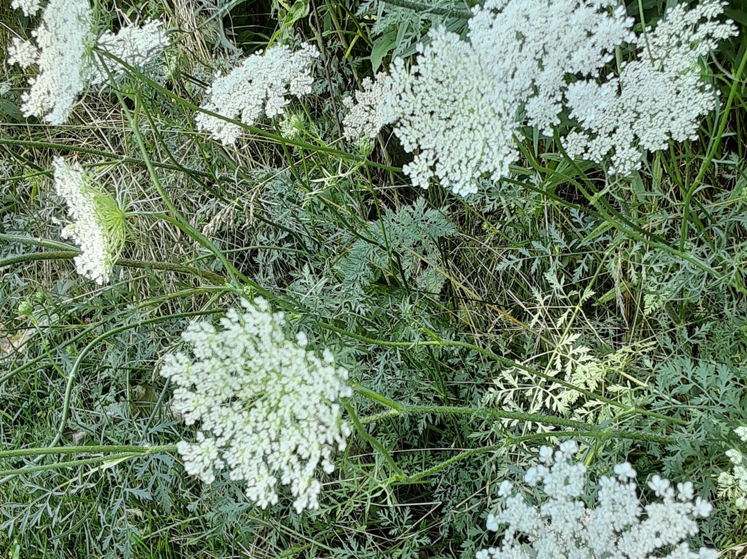 Isaac Lake-米德尔堡海茨必去景点