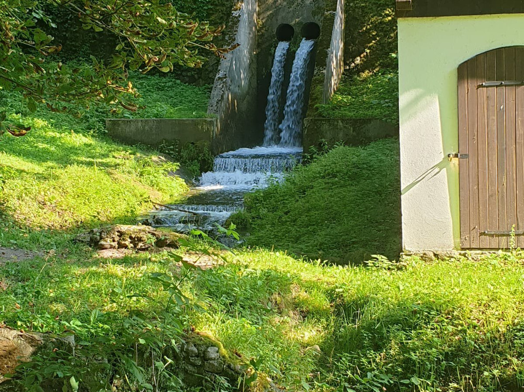 Rezerwat przyrody Źródła Rzeki Łyny景点图片