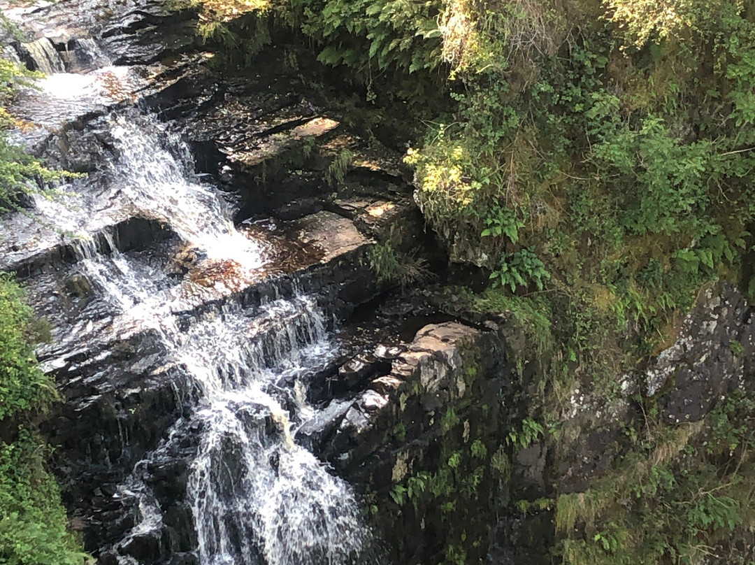 Glenashdale Falls景点图片