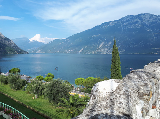 Hotel Alexander主图