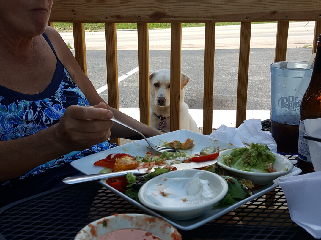 Chessie Nature Trail-列克星敦必去景点