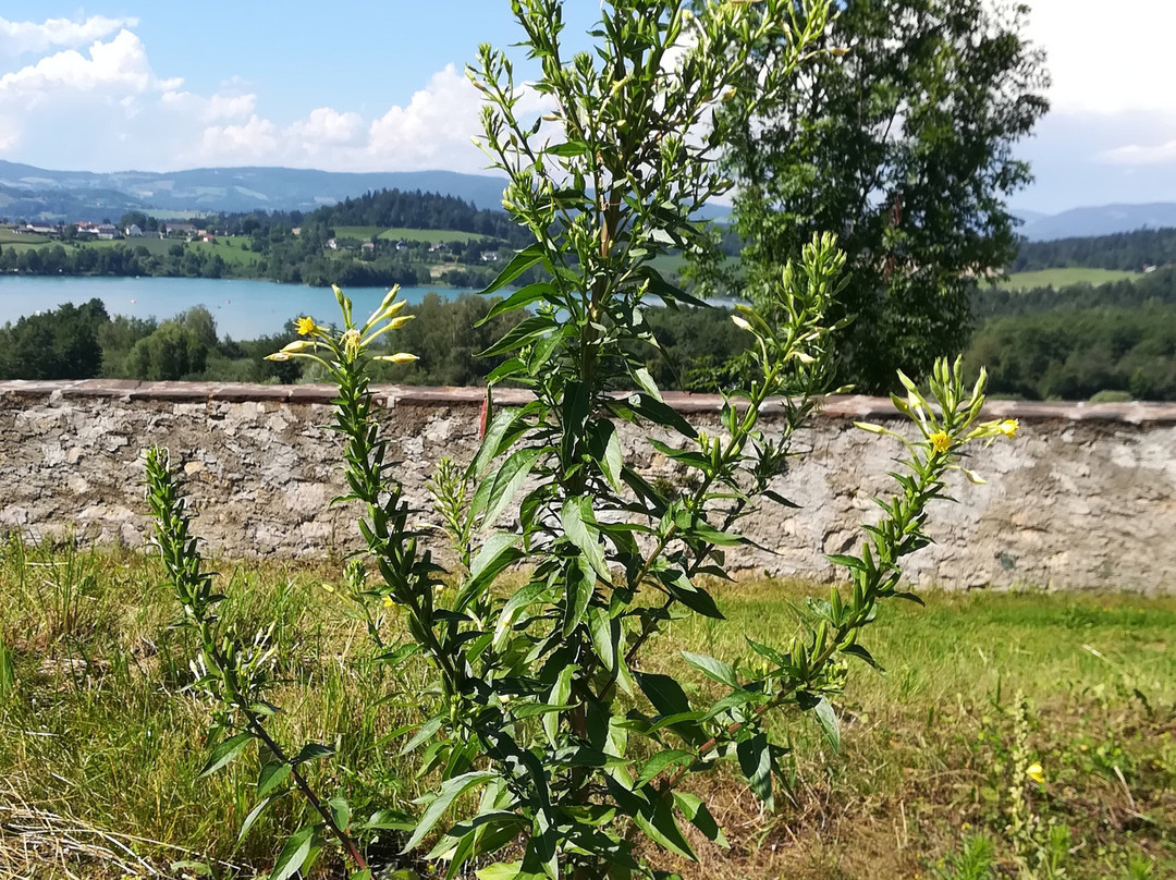 Stift Sankt Georgen am Längsee景点图片