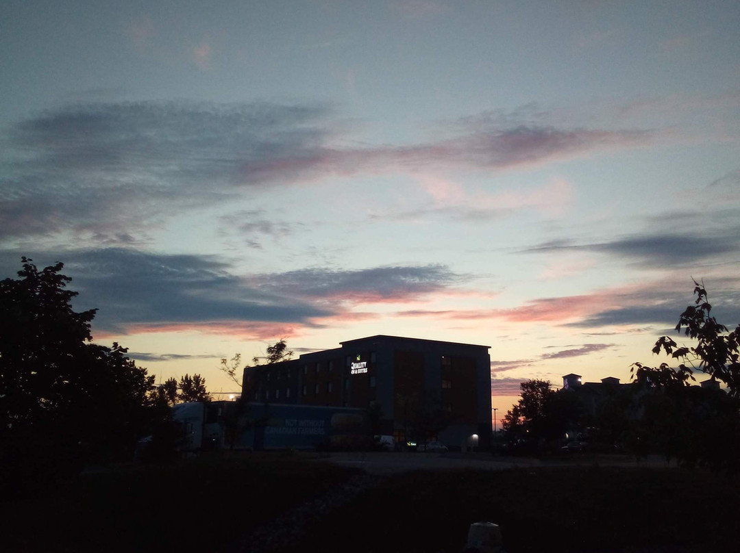 Quality Inn & Suites主图